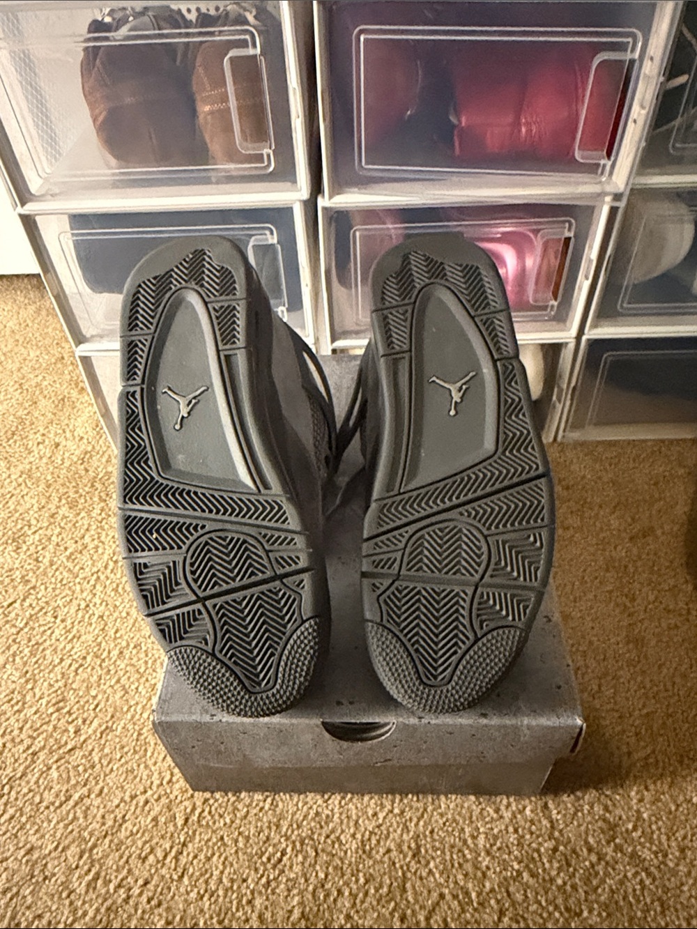 Jordan 4 Paris Olympics - Picture 4 of 6